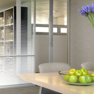 Decorative Window Film