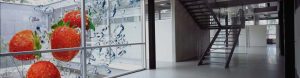 Visual Printed Window Film