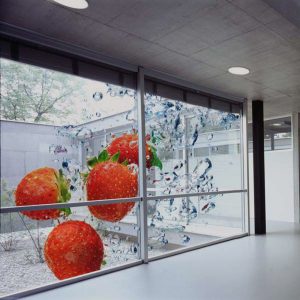 Printed Window Film